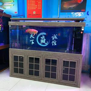 振歌水族馆头像