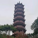 正直闻头像