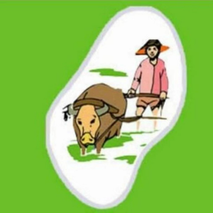 云上老牛说ERP头像