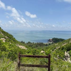 海海头像