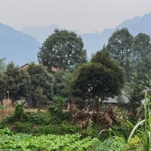 地壳趣探索头像