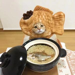 橘猫烧鲷鱼丶