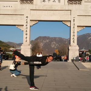 山东查拳头像