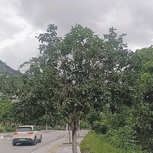 【思南北京路】小勇电器维修头像