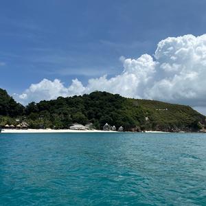 蛇年年货专场～海哥头像