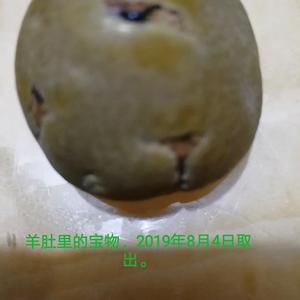 内蒙古鄂尔多斯草原羊肉头像
