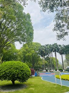 花喵喵头像