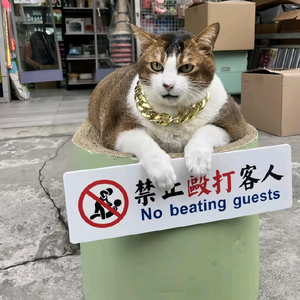 愛洅杺哩头像