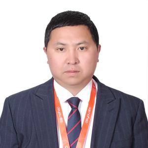 德祐小老伟头像