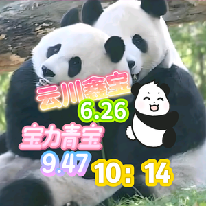 心恋人头像