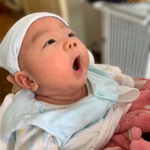 国贝幼儿早教头像