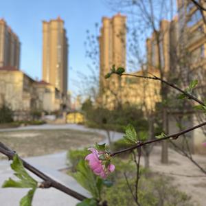 就用天赐良缘 头像