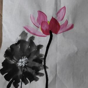 东峰利洋影视集团 头像