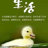binfendeliunian头像