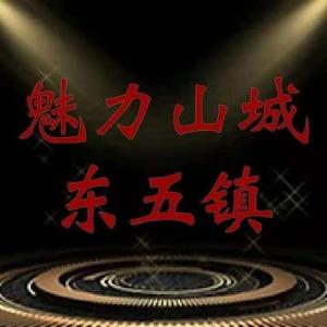 魅力山城东五镇头像