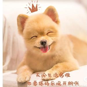 羽嘉头像
