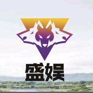 盛娱科技头像