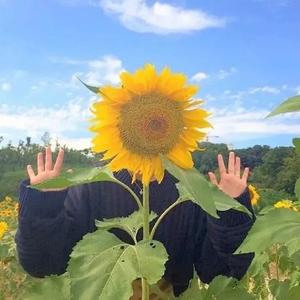 梦一场x头像