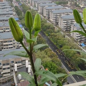 吴sir剪辑头像