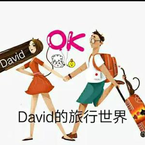 David的旅行世界头像