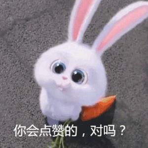 大蒋的创业故事头像