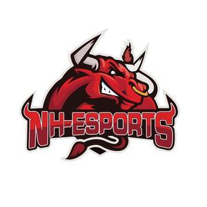 NH电子竞技俱乐部头像