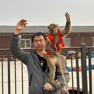 耍猴艺人小唐哥头像