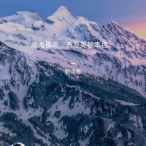 照之于天头像