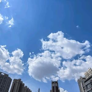 知途游历头像