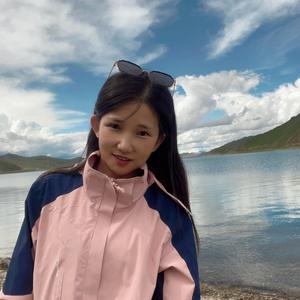 夏天的旅行头像