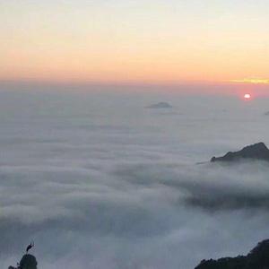 番茄102980873717头像