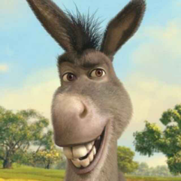 说故事的驴 头像