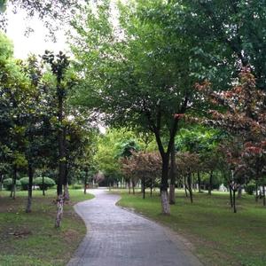 jingzhouLiu