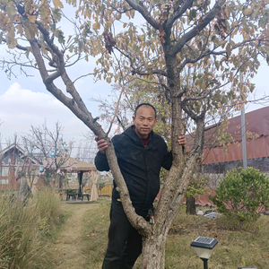 宋哥哥（助力新人)头像