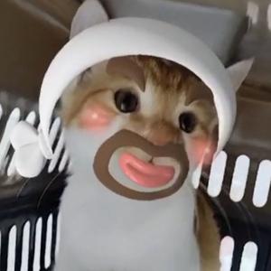 王力强头像