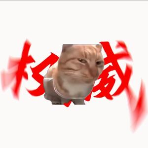 傻眼小猫（想破万粉）头像