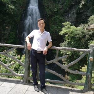 杰哥盆景头像