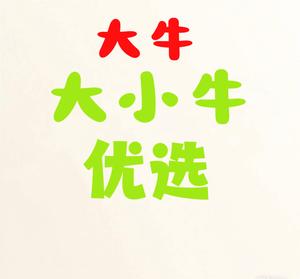 大小牛优选五金工具头像