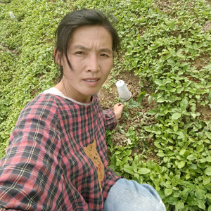 山村愁头像