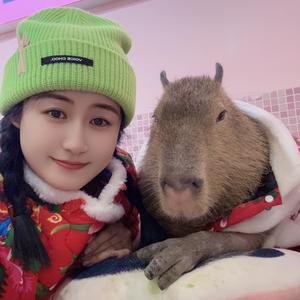 赵主任不干啦头像