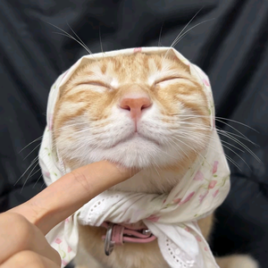 荒凉头像