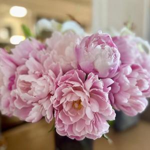 默默妈咪在香港头像