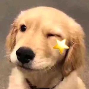 巴适m头像