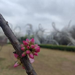 吉祥花园头像