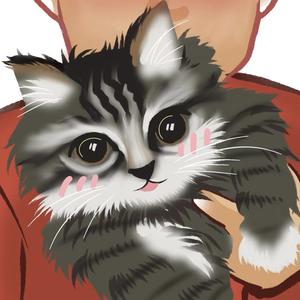 花猫咪头像