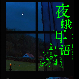 夜蛾耳语头像