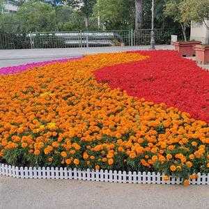 中国力量头像