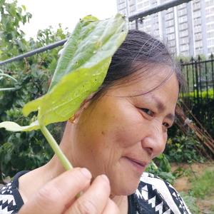 是张妈妈头像