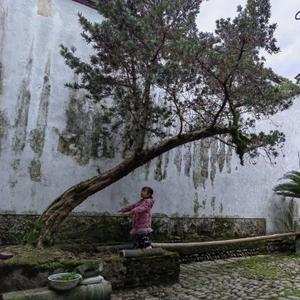 80后秀儿头像