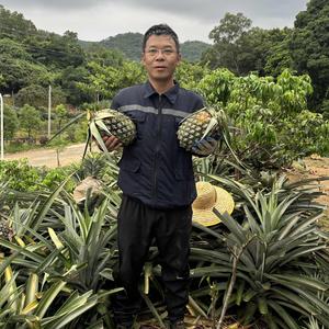 农村小哥头像